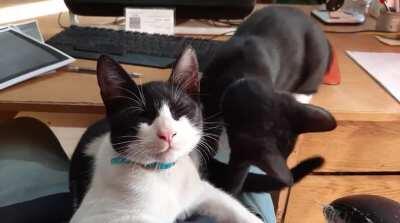 If you mess with Robin (masked one)