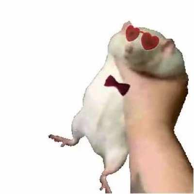 Give me a better date you useless rodent