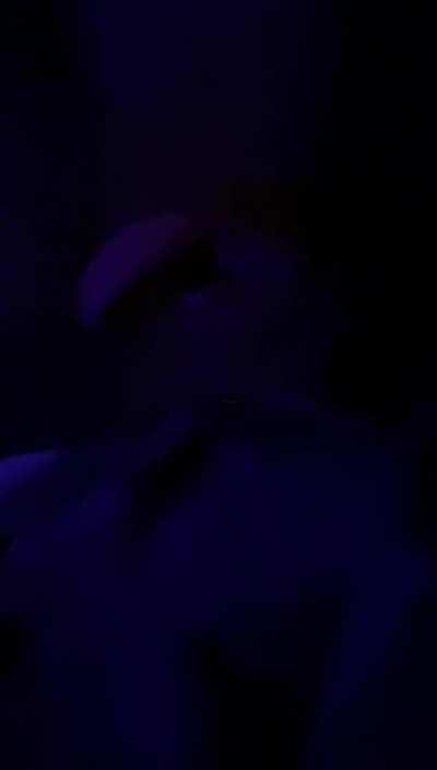 He does whatever I want him to