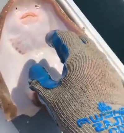 I wanna tickle a fish