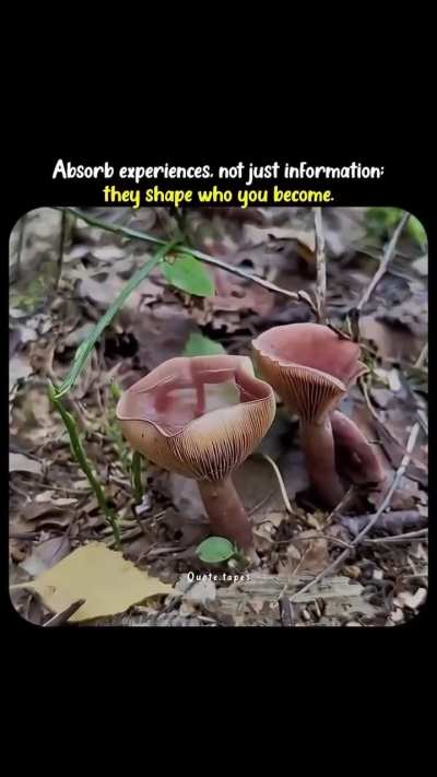 Interesting lesson here