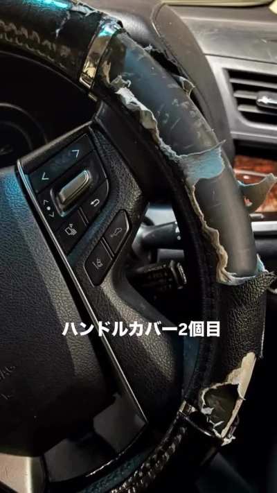 WCGW leaving your dog in your car