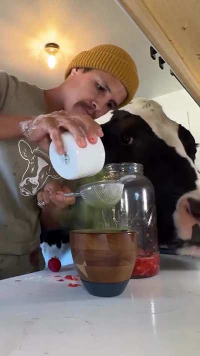 product manager and developer working hard together to deliver a feature