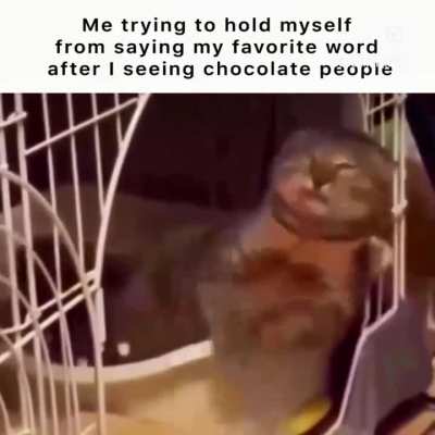 Chocolate people💀