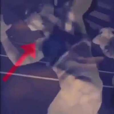 brain vein feeling sadness in vain cuckling up my migrane