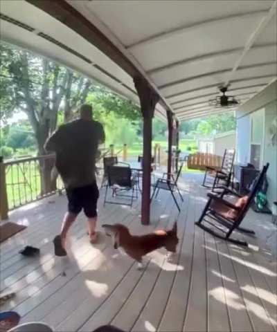 Local squirrel got mad!