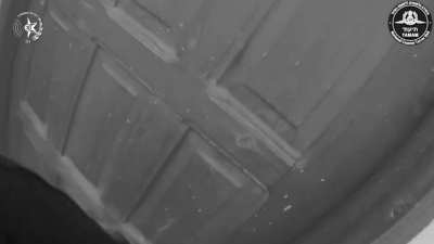 עזה במציאות 