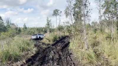 Took my New Subaru off-roading and got stuck in the mud miles from the road. I deserve all of the harsh words