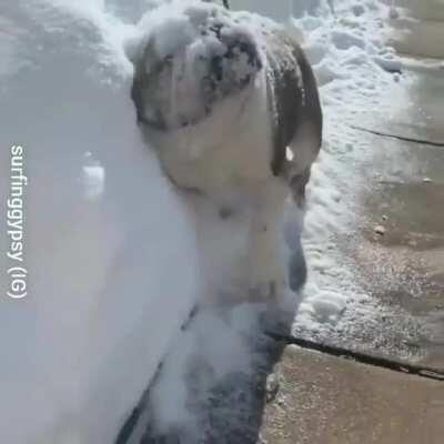 Who needs a snow plow when you have a bulldogzer?