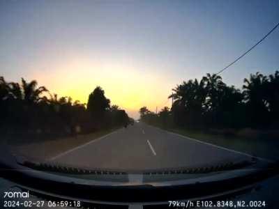 Honda driver yeeted 58M to his death