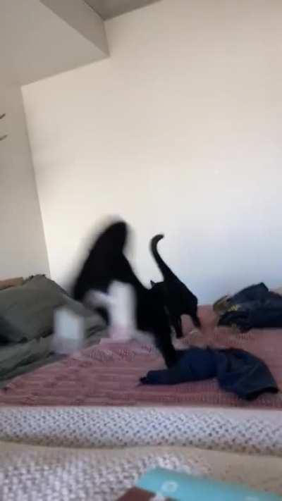 Void dodges a vicious attack