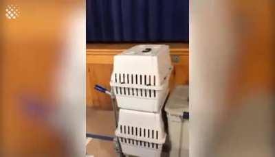 Вот ведь мелкий засранец