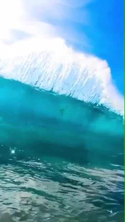 Big wave surfing!!