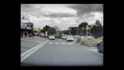 A very responsible bird I saw on my dash cam