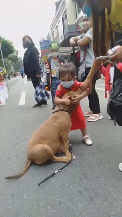 A child finds a dog that she loves
