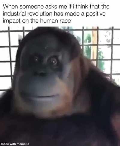 Stupid human think they better than us 🍌🙈