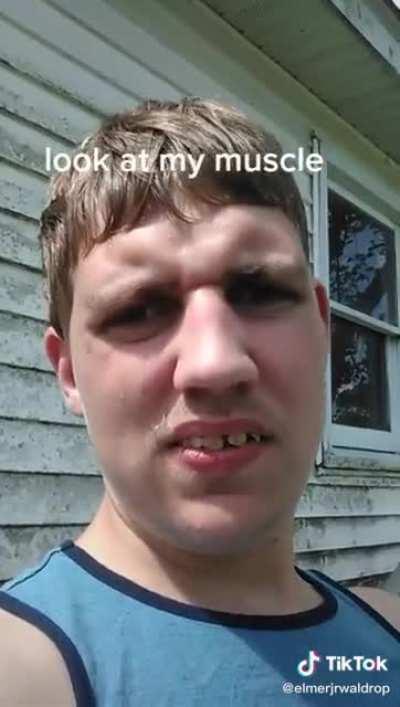 Hercules Hercules Hercules