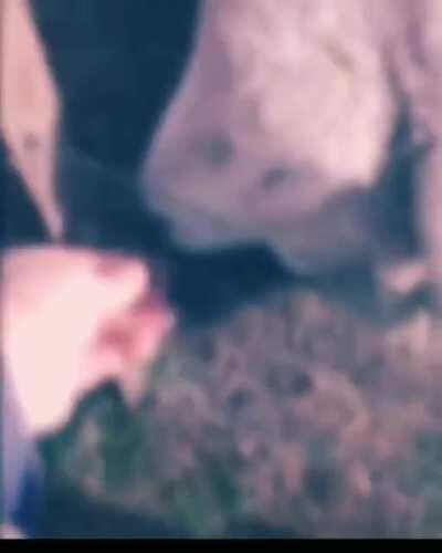 Quiero un Óscar 🥰🥰