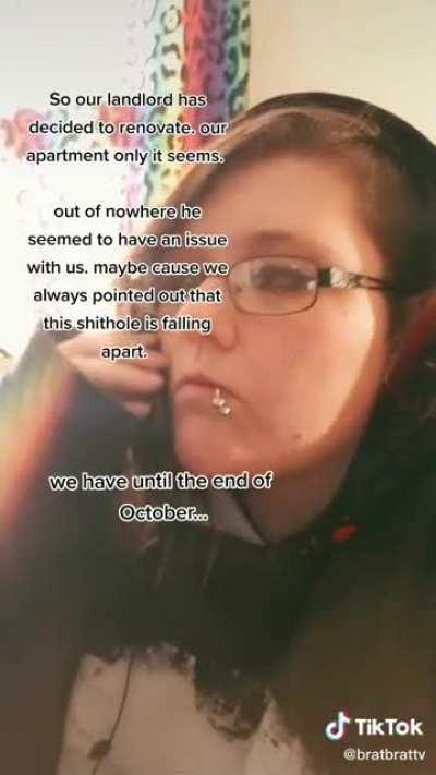 Tenant: points out apartment is falling apart. Landlord: OK I’ll renovate in October! Tenant: 😾