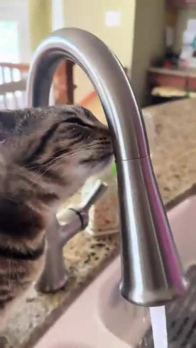 Bluetooth water ahh wunk