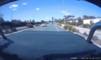 I'm reckless and a coward (wait for it) (not OC)