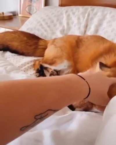 Can you feel her happiness?