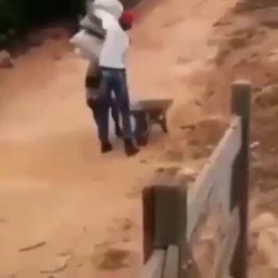 Woodszin - Video #8395