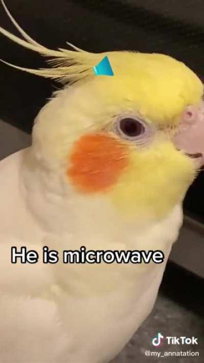 They are taking over kitchen appliances!