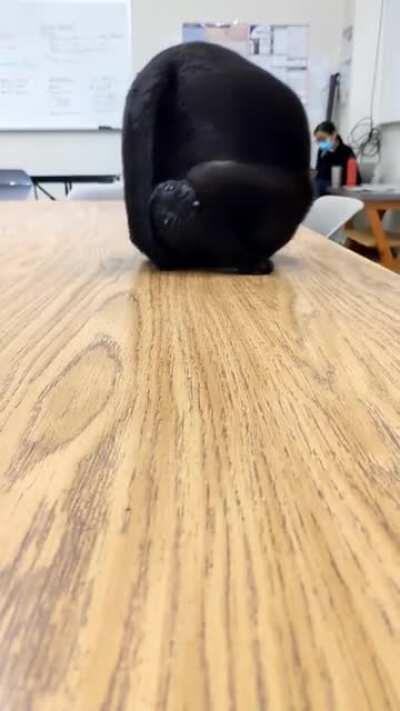 Edge detection failure