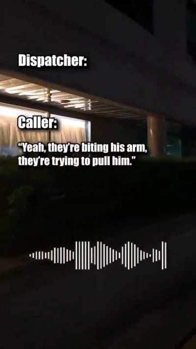 911 pit bull attack audio (Case unknown)