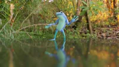 Non-stop frog