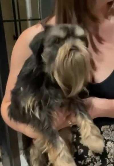 WiTCh CuRseS poOR dOggO To soUnD LikE a cHimKen aND tHeN LaUGhS abOuT iT