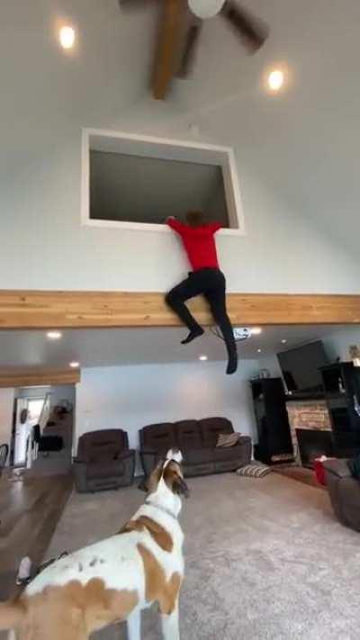 Dudes don’t use stairs