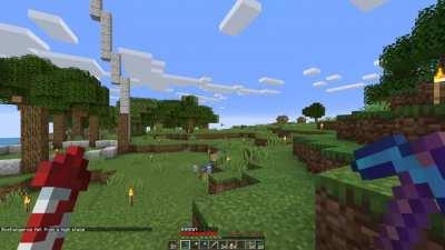 Friend uses elytra for the first time, helped cure my depression