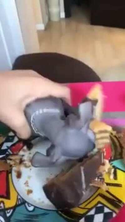 Lord Beerus loves cake!!!