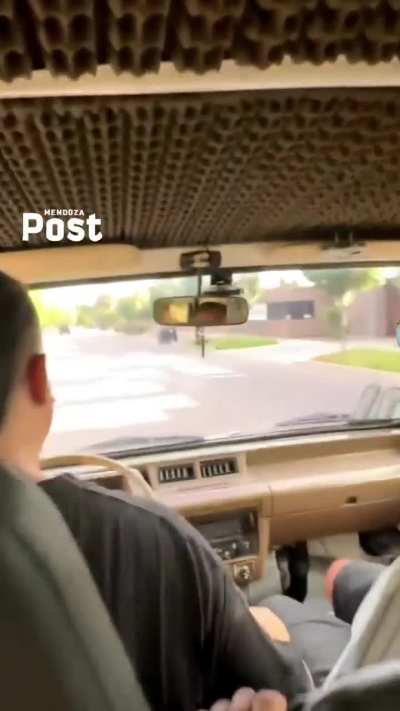 Manejando por la vereda