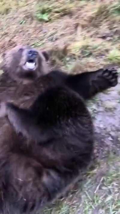 Thanks, I love this dangerous good boy