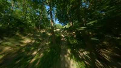 Drone does a 250 Meter [L]oop