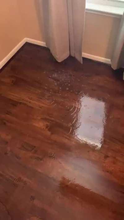 Came home from work and had a new indoor water feature....