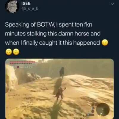 That horse really does not want to get tamed