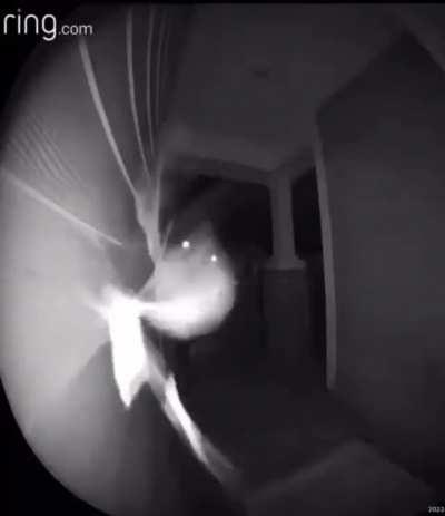 Clavi Drap 🧊🧊🧊