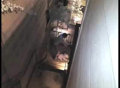 Man yeets raccoon into the abyss…