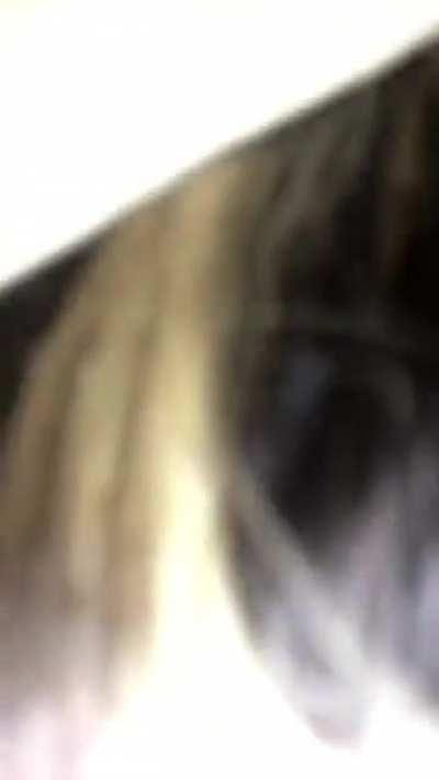 polyexpiclt - Video #3391