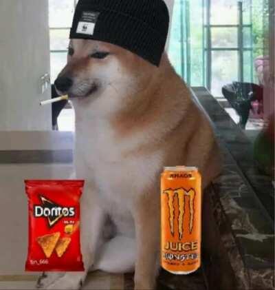 El perrito doomer te quiere.