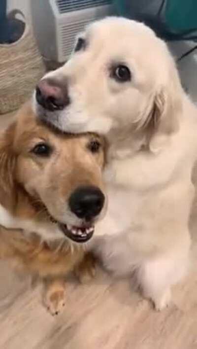 This is is beautiful