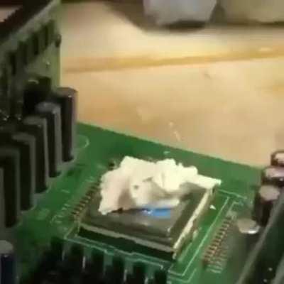 WARNING: Biohazard Detected