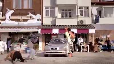 Реклама турецкой страховой компании.