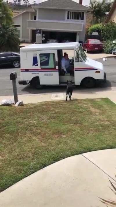 Good boy helping with social distancing.