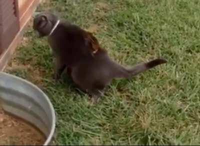 Wait.. What... Where did it go?