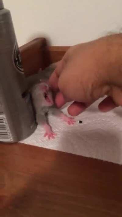 Stretch and yawn 🥱